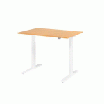 BUREAU ÉLECTRIQUE XMKA12-120 X 80 CM HÊTRE - HAMMERBACHER