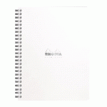 NOTEBOOK RHODIA CLASSIC RELIURE INTÉGRALE 16X21 CM 160 PAGES PETITS CARREAUX 5X5 DÉTACHABLES 80G - BLANC - LOT DE 5