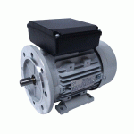 MOTEUR ÉLECTRIQUE MONOPHASÉ 220V 0.25KW 3000TR/MIN - MMD63G2B35 BRIDE B35