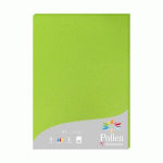 ETUI DE 25 FEUILLES POLLEN 210X297 210G/M2 - VERT MENTHE