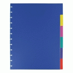 INTERCALAIRE NEUTRE MULTICOLORE A4 VIQUEL PLASTIQUE 6 ONGLETS - 1 JEU