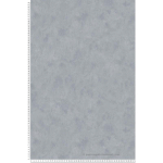 A.S.CREATIONS - PAPIER PEINT UNI À EFFET PICTURAL - 53 CM X 10,05 M DE A.S. CRÉATION - GRIS