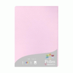 ETUI DE 50 FEUILLES POLLEN 210X297MM 160G/M2 - ROSE DRAGÉE - LOT DE 2