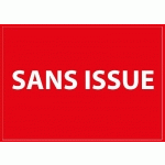 PANNEAU D'INFORMATION - SANS ISSUE  - 210 X 150 MM - PVC