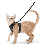 HARNAIS CHAT PETIT CHIEN LAISSE HARNAIS CHATON RÉGLABLE NOIR XS COLLIER HARNAI CHAT REFLÉCHISSANT GILET RESPIRANT POUR LAPIN, CHAT EUROPÉEN, MAINE