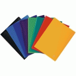 PROTÈGE DOCUMENTS 80 VUES PP LOT DE 12 UNITÉS ASSORTIES - EXACOMPTA