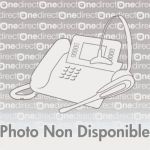 HOUSSE POUR COMBINÉ DEPAEPE PARTNER RX - ACCESSOIRE TÉLÉPHONE SANS FIL