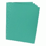 CHEMISE STANDARD 210 G BRUNEAU 24 X 32 CM SAPIN - PAQUET DE 100