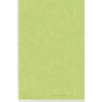 PAPIER PEINT COULEUR VERT CITRON TAPISSERIE UNIE INTISSÉE POUR CUISINE PAPIERS PEINTS STYLE NATURE IDÉAL POUR COULOIR ET BUREAU - VERT,