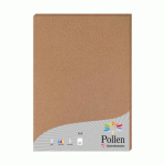LOT DE 2 - ETUI DE 25 FEUILLES POLLEN 210X297 210G/M2 - KRAFT