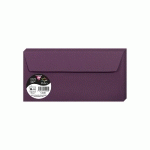 PAQUET DE 20 ENVELOPPES POLLEN 110X220MM 120G/M² - CASSIS - LOT DE 4