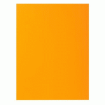 PAQUET DE 100 CHEMISES ROCK