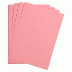 MAYA PAQUET 25F 70X100CM 270G - ROSE CLAIR