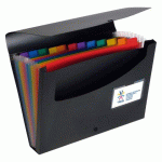 TRIEUR VALISETTE POLYPROPYLÈNE VIQUEL RAINBOW CLASS 12 ONGLETS