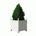 BAC ORANGERIE ALUMINIUM VERT FINITION POMME DE PIN77 CM X 77 CM - MANUTAN COLLECTIVITÉS