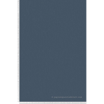 PAPIER PEINT 379869 BRICOFLOR BLEU,