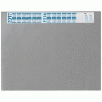 SOUS-MAIN AVEC CALENDRIER ANNUEL, GRIS - LOT DE 2