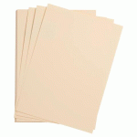 LOT DE 5 - ETIVAL COLOR PAQUET 5F A4 160G - CITRONNELLE
