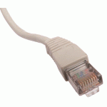 CÂBLE RJ45 DROIT BLINDÉ 300 MBPS - 2 MÈTRES