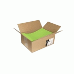CARTON DE 200 ENVELOPPES POLLEN 229X324MM 120G/M² - VERT MENTHE