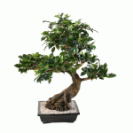 PLANTE ARTIFICIELLE D