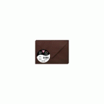 LOT DE 2 - PAQUET DE 20 ENVELOPPES POLLEN 75X100MM 120G/M² - CACAO