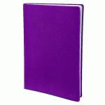 AGENDA QUO VADIS SEMAINIER AFFAIRES NACRE - 10X15 CM - DÉC ...