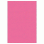ETUI DE 50 FEUILLES POLLEN 210X297MM 120G/M2 - FRAMBOISE - LOT DE 3