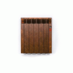 RADIATEUR ÉLECTRIQUE À FLUIDE CALOPORTEUR - 500 W - SÉRIE D - DETROIT ROINTE