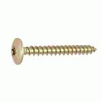VIS DE PENTURE TORX ACIER BICHROMATÉ 5X30 BOÎTE DE 250 - ULTIMA - AFB3105030