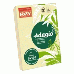 PAPIER A4 COULEURS PASTEL 80 G REY ADAGIO - RAMETTE DE 5 X 100 FEUILLES