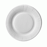 100 ASSIETTES PAPSTAR, CARTON « PURE » RONDES Ø 19 CM BLANC EXTRA SOLIDES