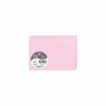 LOT DE 2 - PAQUET DE 25 CARTES PLIÉES POLLEN 110X155MM 210G/M2 - ROSE DRAGÉE