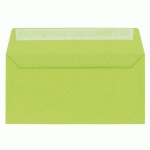 ENVELOPPE 110 X 220 MM POLLEN CLAIREFONTAINE 120 G SANS FENÊTRE VERT BOURGEON - PAQUET DE 20