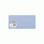 LOT DE 3 - PAQUET DE 25 CARTES SIMPLES POLLEN 106X213MM 210G/M² - BLEU LAVANDE