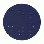 PANNEAU EN RELIEF ET EN BRAILLE - FEMME - INTÉRIEUR (BLEU)