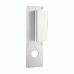 POIGNÉE PALIÈRE ALUMINIUM TYPE BASTILLE 70X250MM ARGENT TROU DE 30 - HERACLES - I-231103TR30