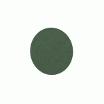 PANNEAU ACOUSTIQUE MURAL NAEL EN PET 12 MM - FORME CERCLE - AVEC CHÂSSIS DE RENFORT AU DOS -DIAMÈTRE 70 CM - VERT