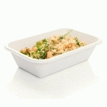 PLATEAU BIONIC 950 ML 21.5X14X5.2 CM CELLULOSE BLANC (VENDU PAR 600)