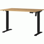 BUREAU RÉGLABLE ÉLECTRIQUE GW-PROFI 2.0 - 120CM - CHÊNE - GERMANIA
