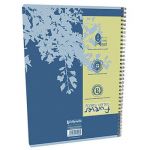 CLAIREFONTAINE CAHIER À SPIRALES FOREVER - FORMAT A4 (70 G/M2) - 180 PAGES À PETITS CARREAUX - COULEURS ASSORTIES (PRIX À L'UNITÉ)