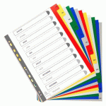 LOT DE 2 - INTERCALAIRE A4+ POLYPROPYLÈNE COULEUR EXACOMPTA 12 ONGLETS MENSUELS MULTICOLORES - 1 JEU