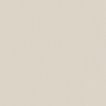 PAPIER PEINT UNI PAPIER PEINT INTISSÉ BEIGE / CRÈME GRIS - 10,05 X 0,53 M - BRICOFLOR