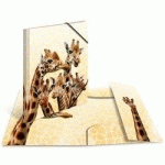 CHEMISE À ÉLASTIQUES ANIMAUX EXOTIQUES, A3, GIRAFES - LOT DE 5