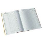 EXACOMPTA JOURNAL DE CAISSE OU DE BANQUE (6510) - FORMAT 32 X 25 CM  110 G/M2- COULEUR BLANC ET VERT