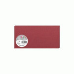 LOT DE 3 - PAQUET DE 25 CARTES SIMPLES POLLEN 106X213MM 210G/M² - BORDEAUX