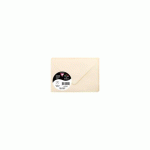 LOT DE 2 - PAQUET DE 20 ENVELOPPES POLLEN 75X100MM 120G/M² - IVOIRE