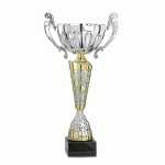 COUPE ARGENT ET OR - PREMIUM