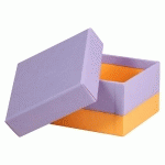 RHODIARAMA SET 5 BOÎTES GIGOGNES SIMILI CUIR ITALIEN 44X34X16 CM - IRIS