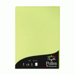 LOT DE 2 - ETUI DE 50 FEUILLES POLLEN 210X297MM 120G/M2 - VERT BOURGEON